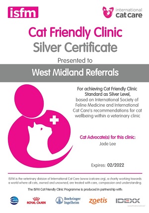 Silver Service For Cats at West Midlands Referrals 