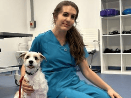 Veterinary Physiotherapy Service Launched at West Midlands Referrals