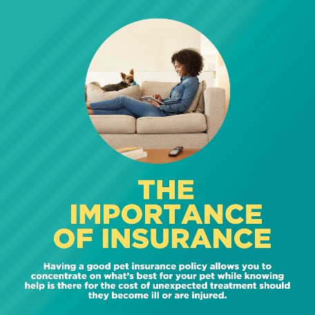 The importance of pet insurance