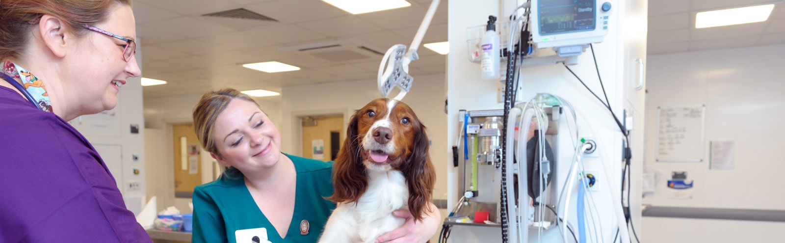 West Midlands Veterinary Referrals Services