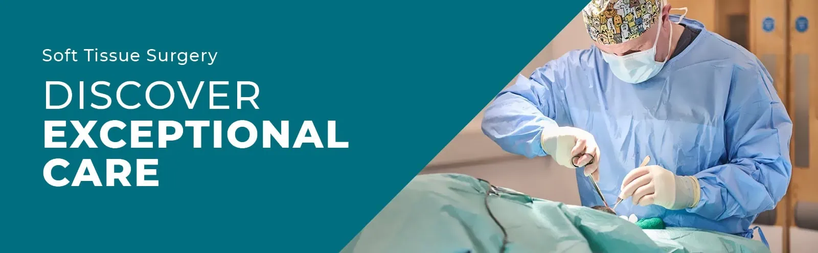 Soft Tissue Surgery