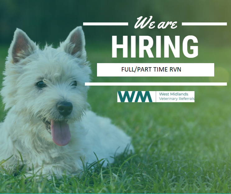 We are Hiring! Full/Part Time RVN